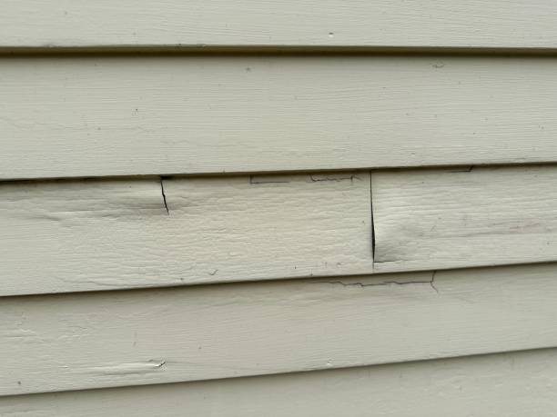 Affordable Siding Repair and Maintenance Services in Buffalo, SC